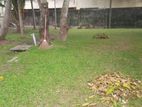 40 perches rectangle land for sale in Mount Lavinia, Templers road