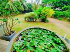 40 Perches / Solid Single Storied House in Athurugiriya