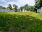 40 Ph Superb Land for Sale in Rathmalana