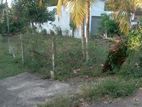 400 m To Colombo Road. Land For Sale In Piliyandala Polgasowita