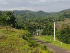 400 Perch Land for Sale in Kosgama | LKR 60 Million (LA4750)