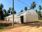 4000sqft Net House (Polytunnel)