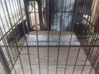 Dog Cage