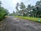 40P Bare Land For Sale In Horana