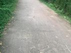 40P Land for Sale - Yakkala