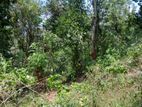 40P Land Overlooking the Victoria Reservoir in Teldeniya (SL 14432)