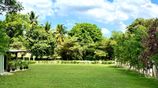 Land for Sale Thalawathugoda