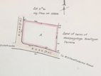 40P Prime Bare Land For Sale In Magammana