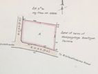 40P Prime Land For Sale In Homagama