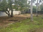 40perch Land with House for Sale in Dalupatha, Negombo