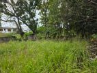 41 Perches Land Sale in Pepiliyana