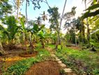 41 Perches of Land for Sale in Udugampola