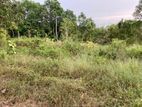 415.3P Agricultural Land for Sale in Thalammehera, Pannala (SL 14186)