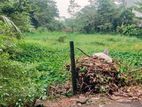 41P Land For Sale In Thalawathugoda