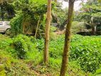 41P Land For Sale In Thalawathugoda