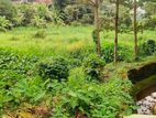 41P Land For Sale In Thalawathugoda