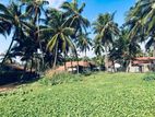 42 Perch Beach Front Land for Sale in Marawila