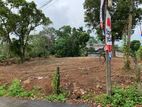 42 Perch Land For Sale In Talawatugoda