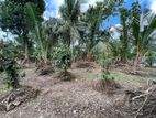 42 PERCHES BARE LAND FOR SALE – HALPITA, POLGASOWITA