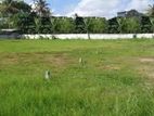42 perches Bare Land for sale in Ratmalana