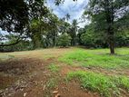 420 perches of land for sale in Dompe (SSPL-305)