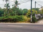 42.2 Perches Bare Land For Sale In Baththaramulla