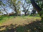 42.5P High Residential Bare Land For Sale In Rajagiriya Town