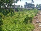 42.6 Perch Rectangular Land for Sale in Uswetakeiyawa, Wattala