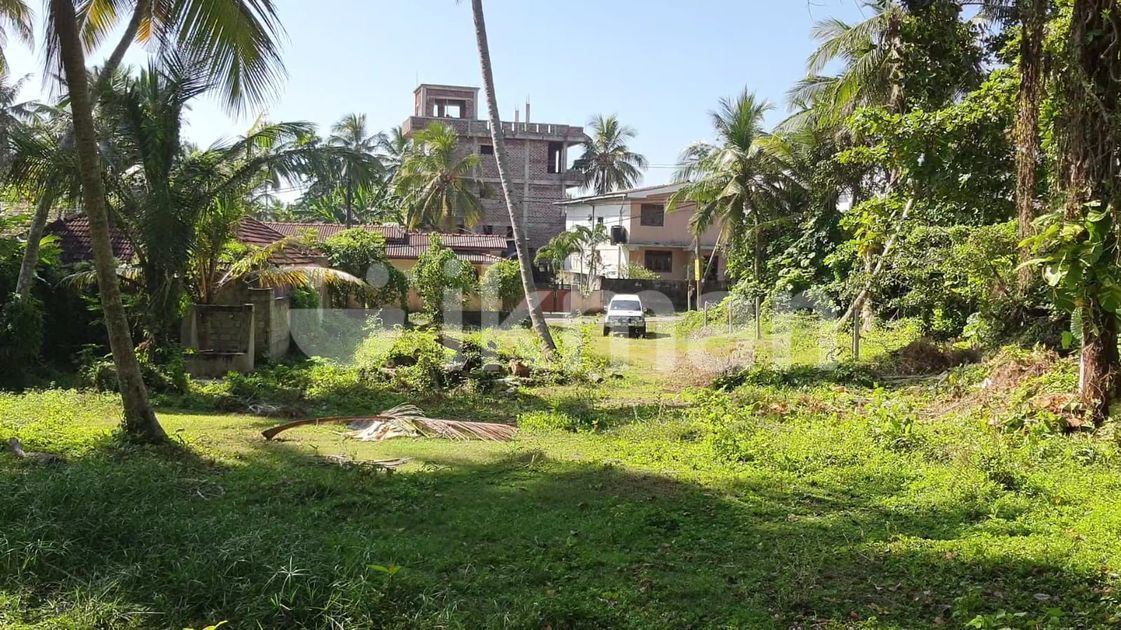 42.71P Land for sale close to Galle Road in Balapitiya ikman