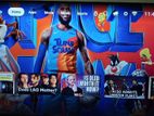 43" LED Full HD Smart TV