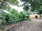 43 Perch Land for SALE in Negombo (Dalupotha) Code - LJ022