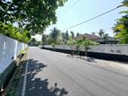 43P Prime Land For Sale In Mt Lavinia