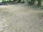 43perch land for sale in katunayaka