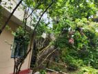 44 P Land with house for sale in Rajagiriya