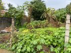 44 Perch for Land Sale in Negombo