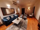 447 Luna Tower - 02 Rooms Furnished Apartment for Sale A38703