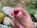 4.4ct Garnet Gem Stone