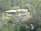 45 Acre Estate for Lease: Prime Property in Akurassa