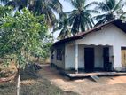 4.5 Acres Coconut Land for Sale in Pallama