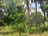 4.5 Acres Land for Sale in Dambulla