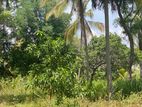 4.5 Acres Land for Sale in Dambulla