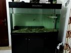 4.5 Feet Aquarium Imported Fish Tank