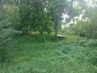 45 Perch Land For Sale Facing Kandy Road(LA-GAMKG-161)