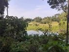 45 Perch River Front Land in Katunayaka Seeduwa