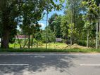 45 Perches Land For Sale in Ambanpola (SSPL-380)