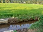 45 perches land for sale in Aramanagolla, Horana