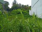 45 Perches land for sale in Peliyagoda (C7-10457)