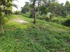 45 Perches Land for Sale in Rerukana Galanigama