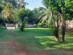 45.8 Perch Land With Vintage House For Sale–Kelaniya(LA-GAMKE-193)