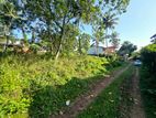 45P Bare Land For Sale In Pelawatta